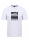 Regular-fit T-shirt in cotton jersey