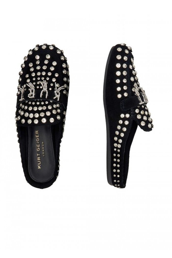 Crystal Slipper