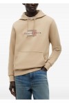 Flag Graphic Terry Drawstring Hoody