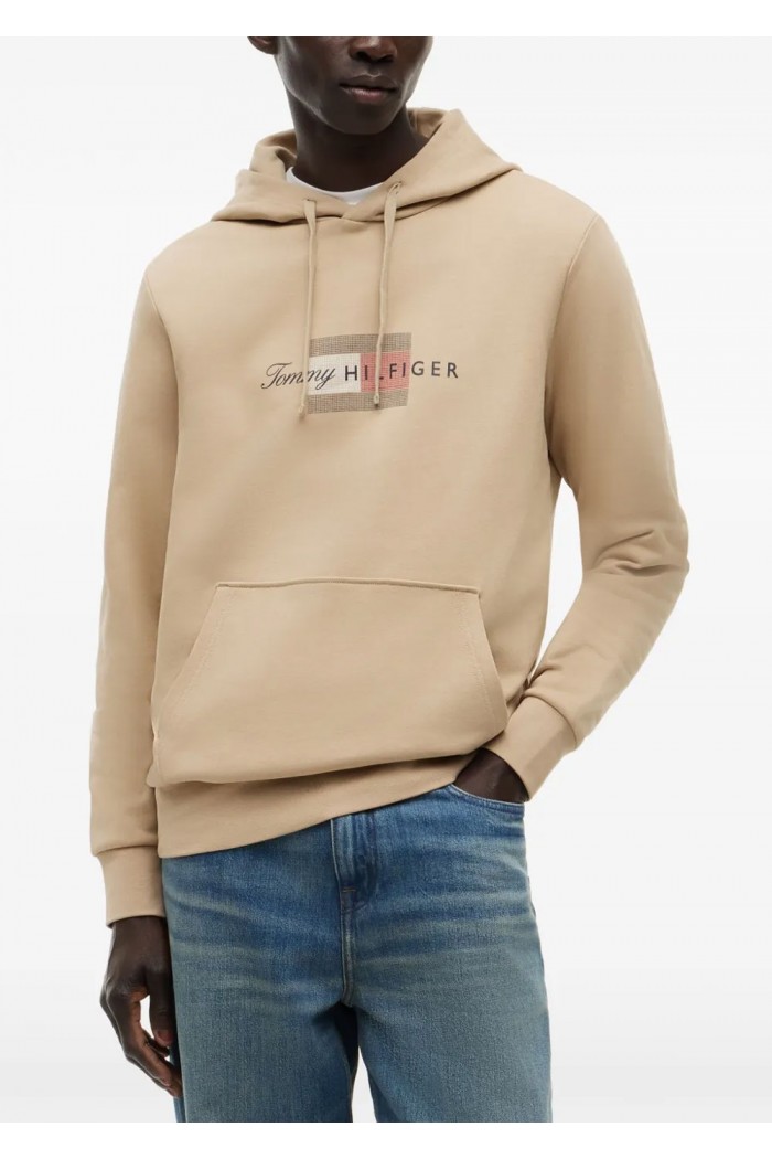 Flag Graphic Terry Drawstring Hoody