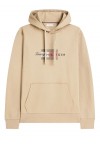 Flag Graphic Terry Drawstring Hoody