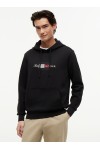Flag Graphic Terry Drawstring Hoody