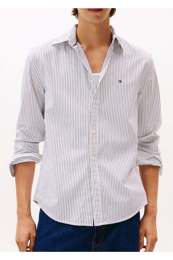 Flex Regular Fit Pinstripe Shirt