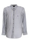 striped slim fit shirt